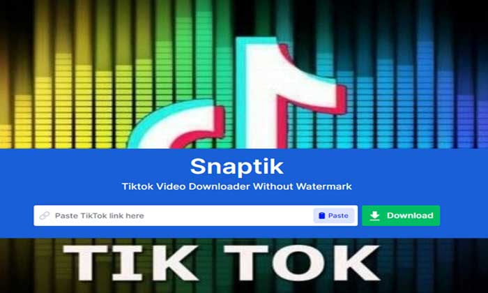 snaptik